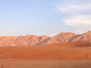 the desert...beauty in its purest, most natural form!